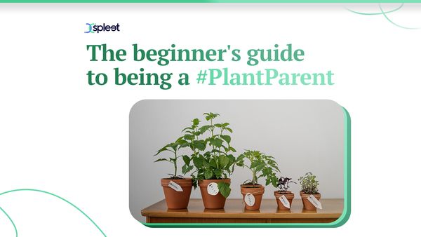 The beginner's guide to being a #PlantParent